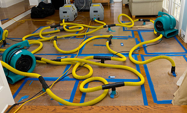 Professional Burst Pipe Water Damage technician working in Lebanon, KY